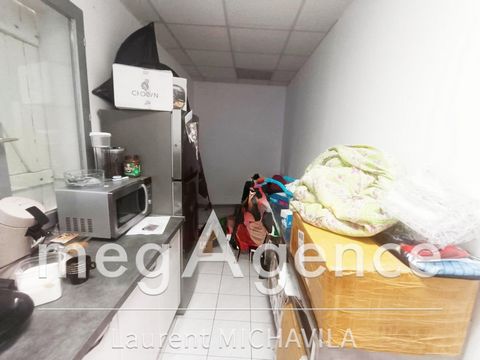 photo no. 6