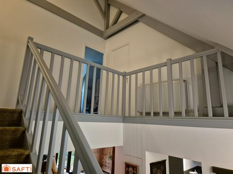 photo no. 11