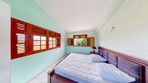 photo no. 10