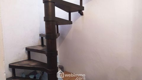 photo no. 19