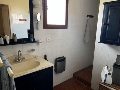 photo no. 11