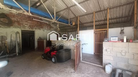 photo no. 15