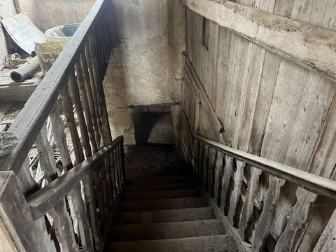photo no. 9