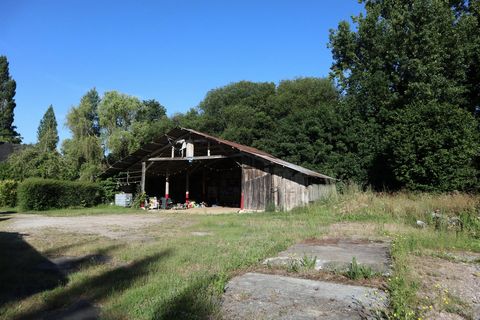 photo no. 3