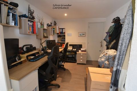 photo no. 2