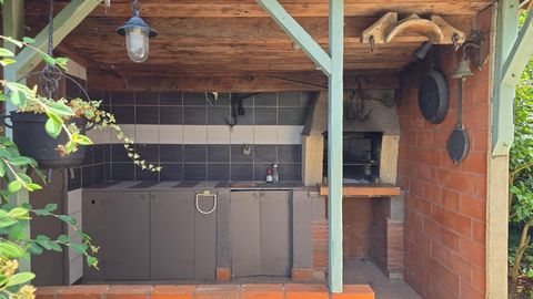 photo no. 2