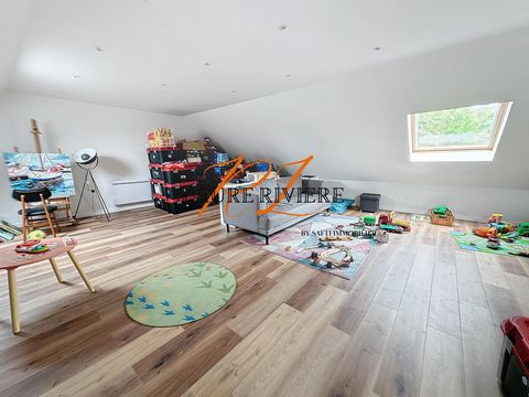 photo no. 11
