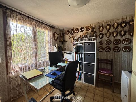 photo no. 13