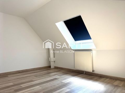 photo no. 13