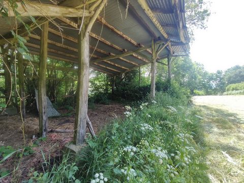 photo no. 17