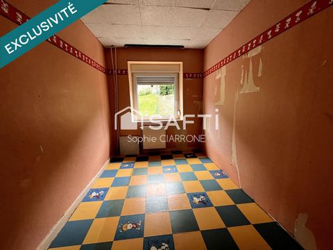 photo no. 15