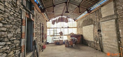 photo no. 6