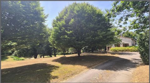 photo no. 16