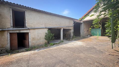 photo no. 2