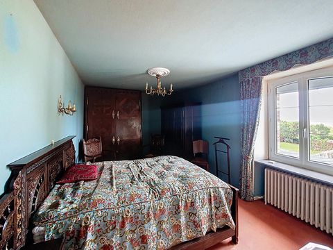 photo no. 8
