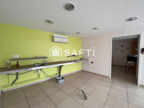 photo no. 10