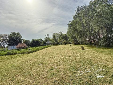 photo no. 17