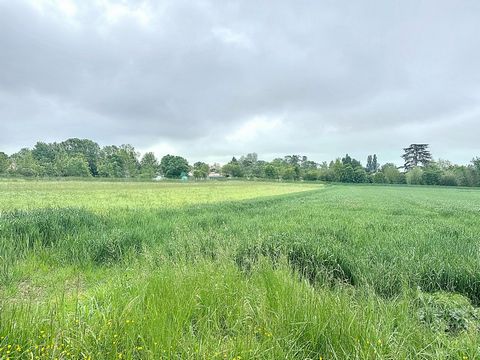 TERRAIN DE PLUS DE 8000 M2 AUX PORTES DE NIORT !