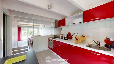 photo no. 12