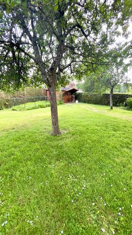 photo no. 18