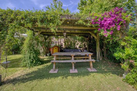 photo no. 11