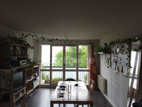photo no. 2