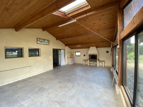 photo no. 4