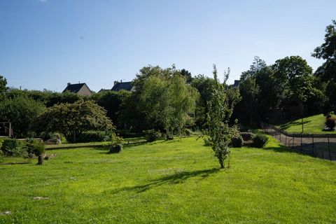 photo no. 1