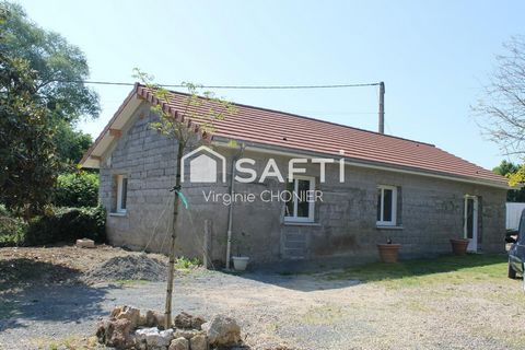 photo no. 9