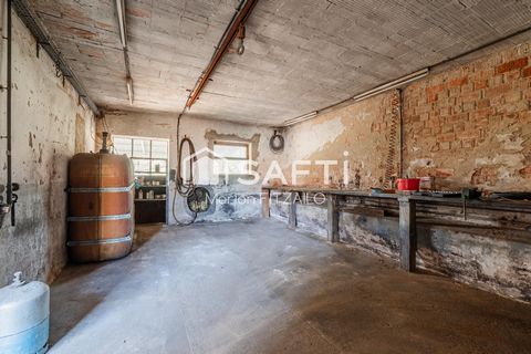 photo no. 13