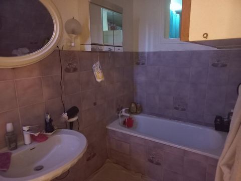 photo no. 12