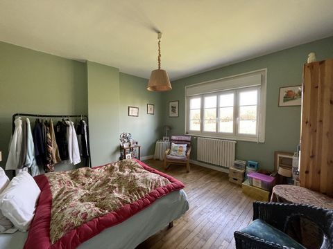 photo no. 13