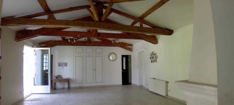 photo no. 11