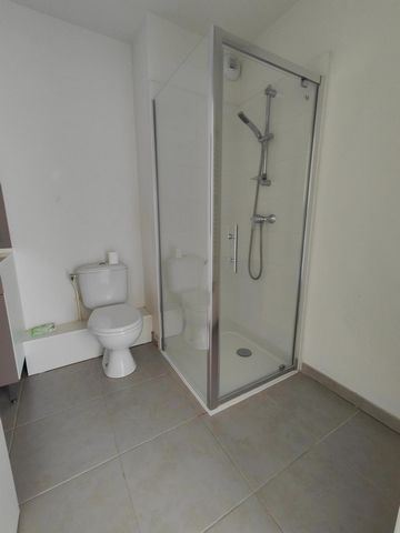 photo no. 8