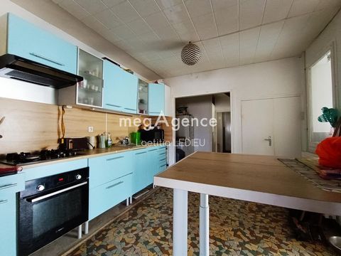 photo no. 8