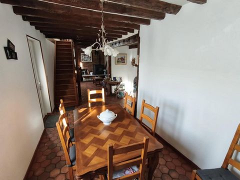 photo no. 8