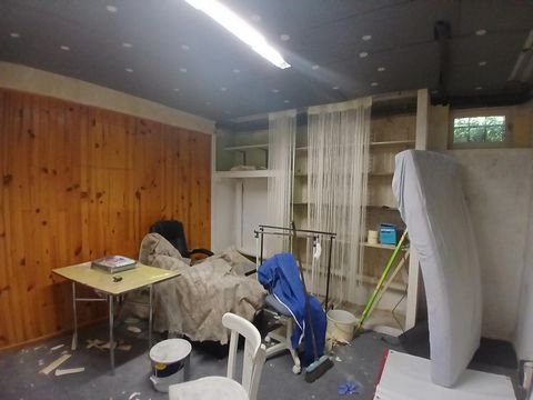 photo no. 10