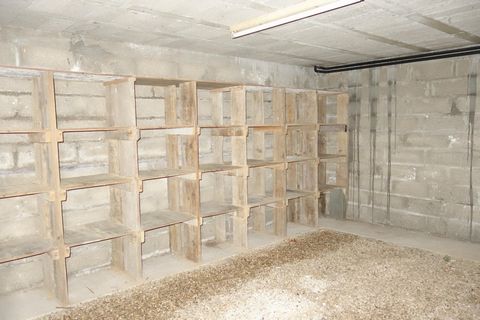 photo no. 15