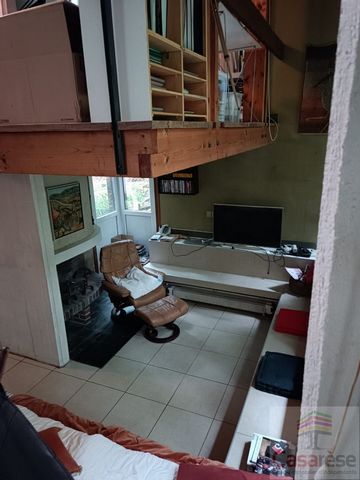 photo no. 8