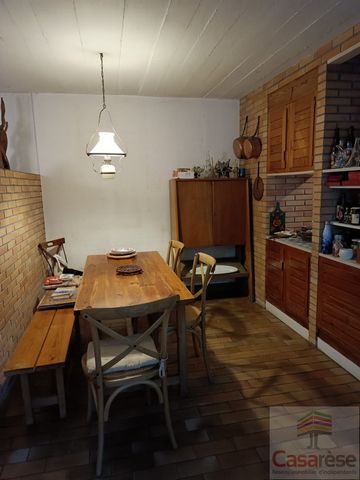 photo no. 11