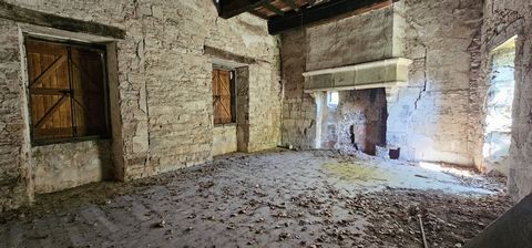 photo no. 10