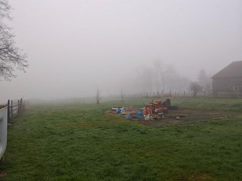 photo no. 3