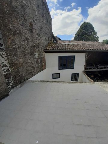 photo no. 7