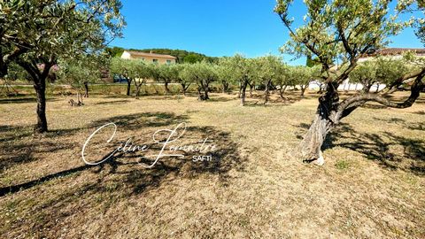 Magnifique terrain plat