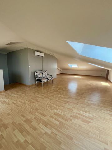 photo no. 8