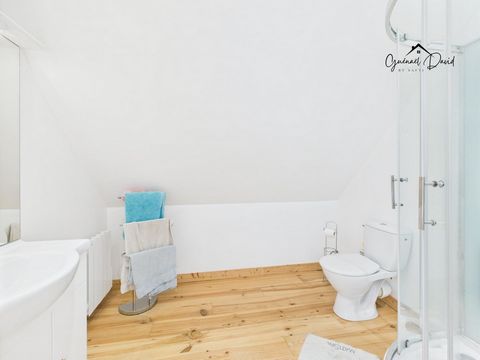 photo no. 11