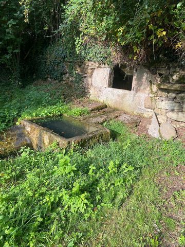 photo no. 5