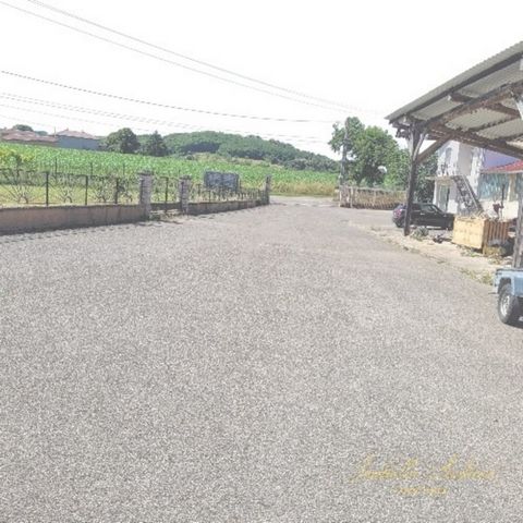 photo no. 2