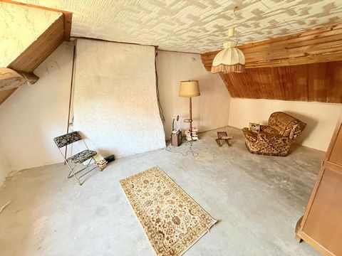 photo no. 6