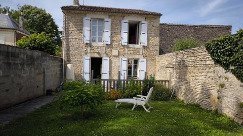 photo no. 8